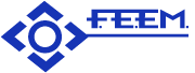 F.E.EM. Windings Logo
